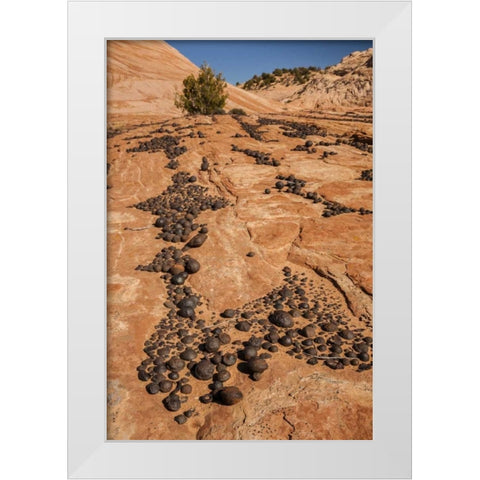 UT, Grand Staircase Escalante NM Moki marbles White Modern Wood Framed Art Print by Illg, Cathy and Gordon