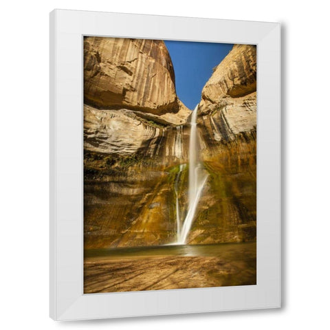 UT, Grand Staircase Escalante, Calf Creek Falls White Modern Wood Framed Art Print by Illg, Cathy and Gordon