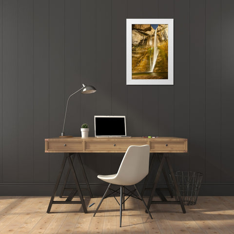 UT, Grand Staircase Escalante, Calf Creek Falls White Modern Wood Framed Art Print by Illg, Cathy and Gordon