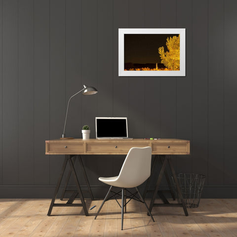USA, Utah Stary night sky in autumn White Modern Wood Framed Art Print by Illg, Cathy and Gordon