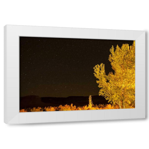 USA, Utah Stary night sky in autumn White Modern Wood Framed Art Print by Illg, Cathy and Gordon