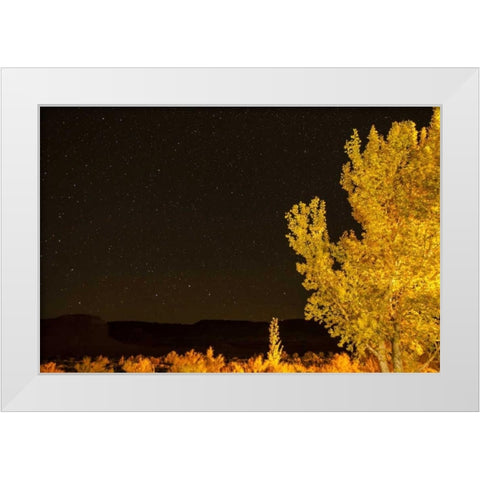 USA, Utah Stary night sky in autumn White Modern Wood Framed Art Print by Illg, Cathy and Gordon
