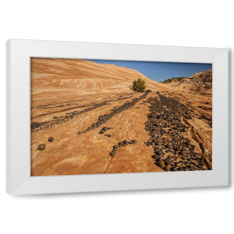 UT, Grand Staircase Escalante NM Moki marbles White Modern Wood Framed Art Print by Illg, Cathy and Gordon