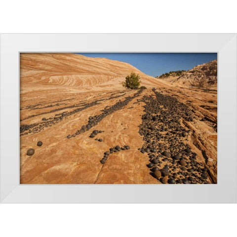 UT, Grand Staircase Escalante NM Moki marbles White Modern Wood Framed Art Print by Illg, Cathy and Gordon