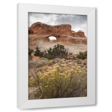 USA, Utah, Arches NP Scenic of Tunnel Arch White Modern Wood Framed Art Print by Illg, Cathy and Gordon