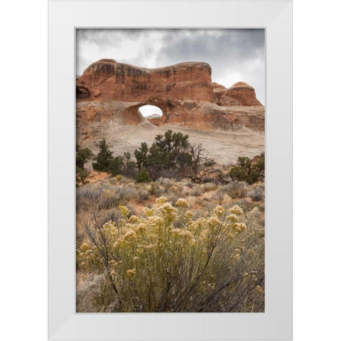 USA, Utah, Arches NP Scenic of Tunnel Arch White Modern Wood Framed Art Print by Illg, Cathy and Gordon