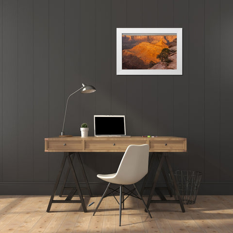 Utah, Dead Horse Point SP Sunrise on canyon White Modern Wood Framed Art Print by Illg, Cathy and Gordon