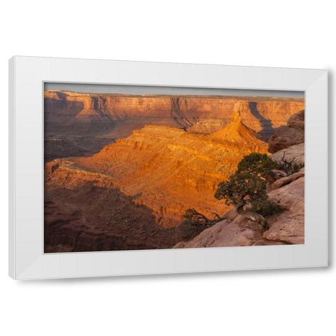 Utah, Dead Horse Point SP Sunrise on canyon White Modern Wood Framed Art Print by Illg, Cathy and Gordon