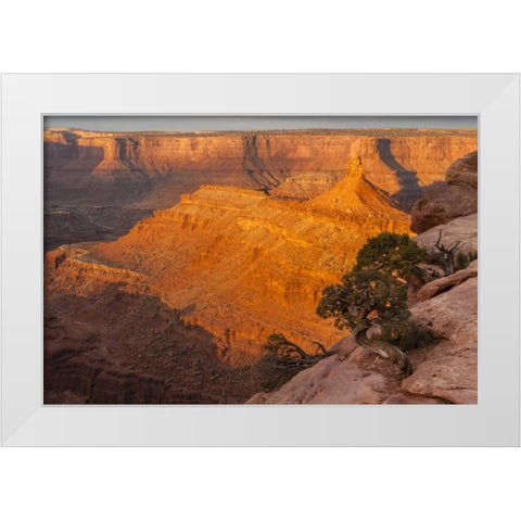 Utah, Dead Horse Point SP Sunrise on canyon White Modern Wood Framed Art Print by Illg, Cathy and Gordon