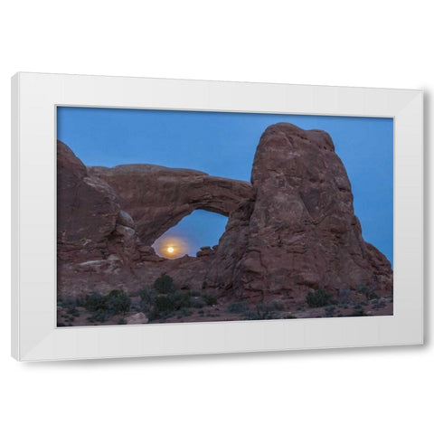 UT, Arches NP South Window arch and full moon White Modern Wood Framed Art Print by Illg, Cathy and Gordon
