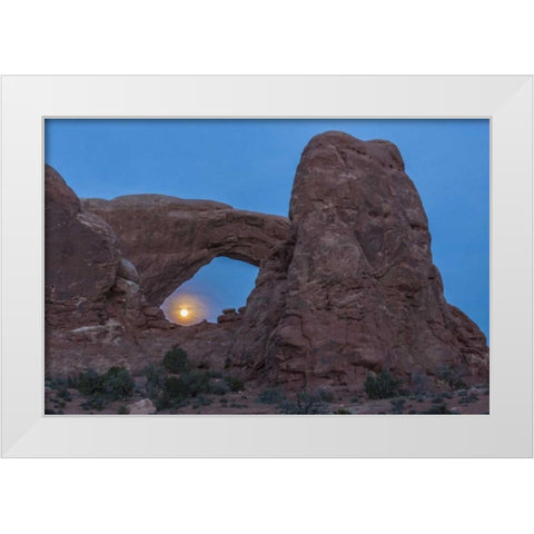 UT, Arches NP South Window arch and full moon White Modern Wood Framed Art Print by Illg, Cathy and Gordon