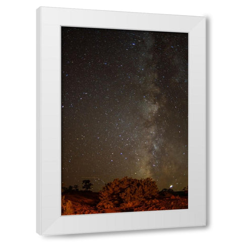 USA- Utah- Capitol Reef National Park. Milky Way galaxy. White Modern Wood Framed Art Print by Jaynes Gallery