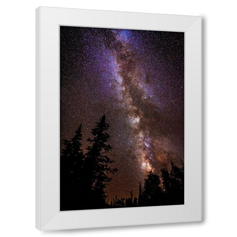 Milky Way over Cedar Breaks National Monument-Utah-USA White Modern Wood Framed Art Print by Bishop, Russ