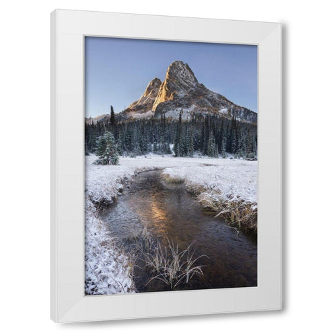 Fresh autumn snow on Liberty Bell Mountain and meadows of Washington State Pass White Modern Wood Framed Art Print by Majchrowicz, Alan