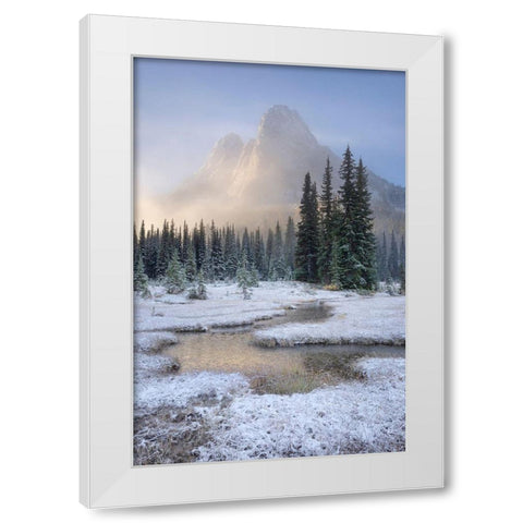 Fresh autumn snow on Liberty Bell Mountain and meadows of Washington State Pass White Modern Wood Framed Art Print by Majchrowicz, Alan