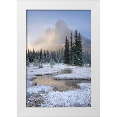 Fresh autumn snow on Liberty Bell Mountain and meadows of Washington State Pass White Modern Wood Framed Art Print by Majchrowicz, Alan