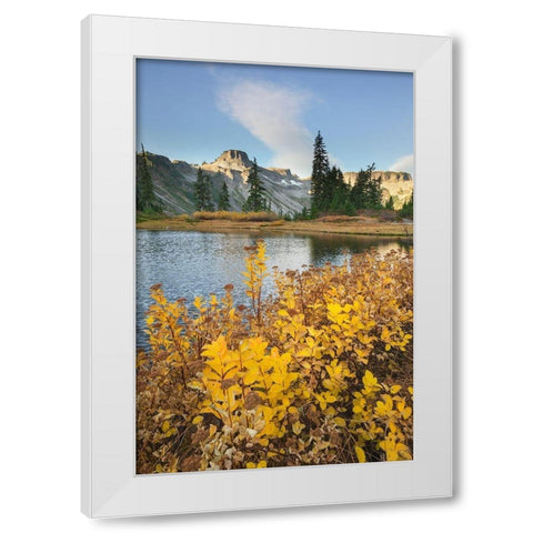 Heather Meadows in autumn Table Mountain is in the distance White Modern Wood Framed Art Print by Majchrowicz, Alan
