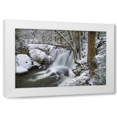 Whatcom Falls after fresh dusting of winter snow Whatcom Falls City Park-Bellingham White Modern Wood Framed Art Print by Majchrowicz, Alan