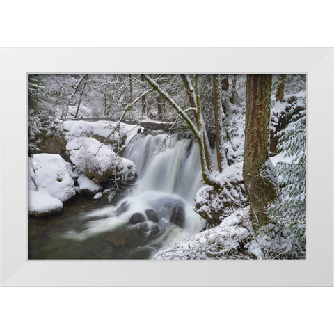 Whatcom Falls after fresh dusting of winter snow Whatcom Falls City Park-Bellingham White Modern Wood Framed Art Print by Majchrowicz, Alan