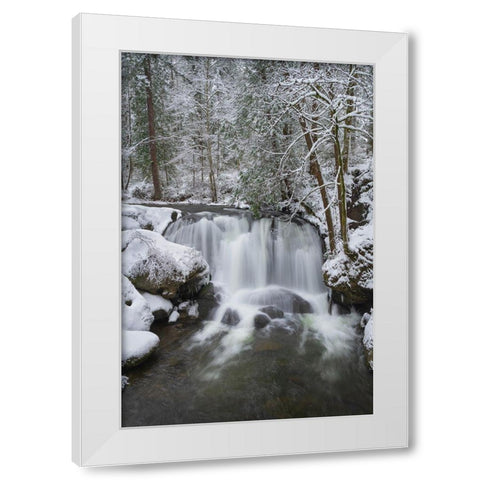Whatcom Falls after fresh dusting of winter snow Whatcom Falls City Park-Bellingham White Modern Wood Framed Art Print by Majchrowicz, Alan