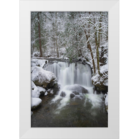 Whatcom Falls after fresh dusting of winter snow Whatcom Falls City Park-Bellingham White Modern Wood Framed Art Print by Majchrowicz, Alan