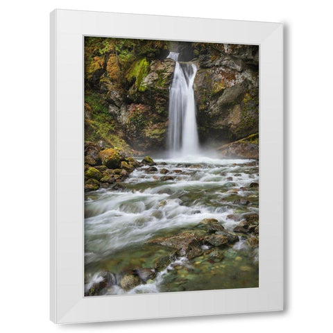 Lazy Bear Falls-Mount Baker-Snoqualmie National Forest-North Cascades-Washington State White Modern Wood Framed Art Print by Majchrowicz, Alan