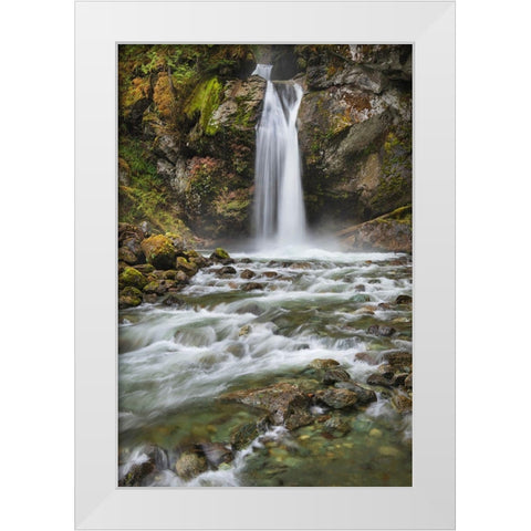 Lazy Bear Falls-Mount Baker-Snoqualmie National Forest-North Cascades-Washington State White Modern Wood Framed Art Print by Majchrowicz, Alan