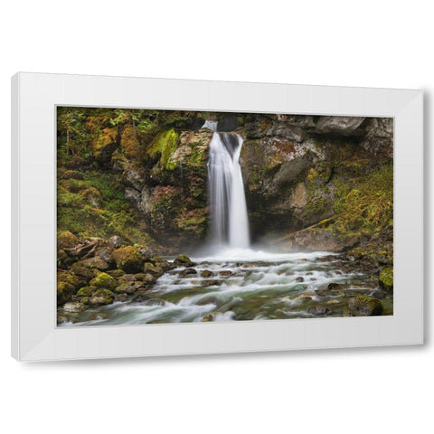 Lazy Bear Falls-Mount Baker-Snoqualmie National Forest-North Cascades-Washington State White Modern Wood Framed Art Print by Majchrowicz, Alan