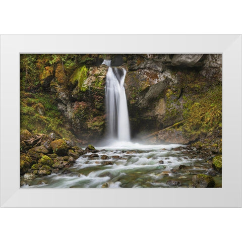 Lazy Bear Falls-Mount Baker-Snoqualmie National Forest-North Cascades-Washington State White Modern Wood Framed Art Print by Majchrowicz, Alan