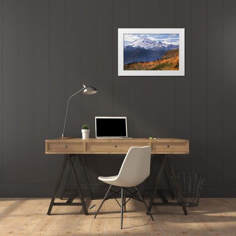 WA, Mount Baker from Yellow Aster Butte Trail White Modern Wood Framed Art Print by Paulson, Don