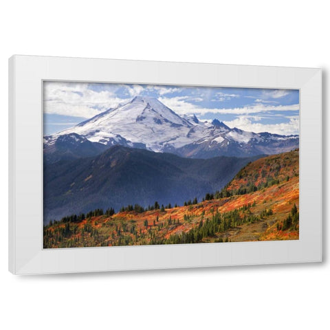 WA, Mount Baker from Yellow Aster Butte Trail White Modern Wood Framed Art Print by Paulson, Don
