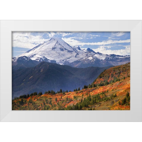 WA, Mount Baker from Yellow Aster Butte Trail White Modern Wood Framed Art Print by Paulson, Don