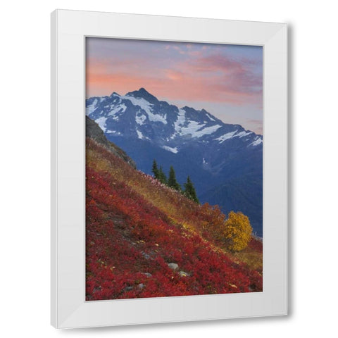 WA, Mount Baker Wilderness View of Mount Shuksan White Modern Wood Framed Art Print by Paulson, Don