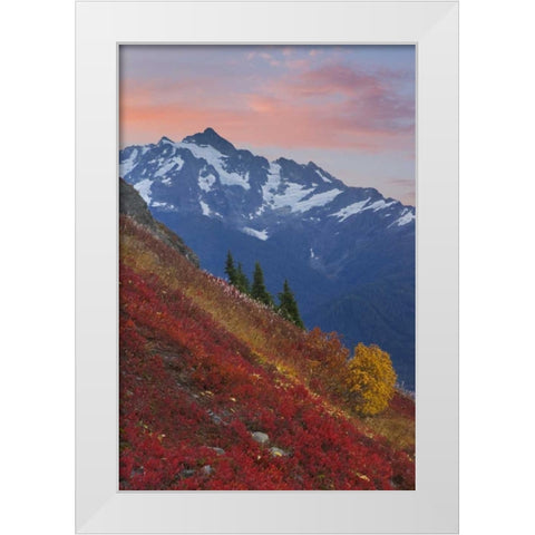 WA, Mount Baker Wilderness View of Mount Shuksan White Modern Wood Framed Art Print by Paulson, Don