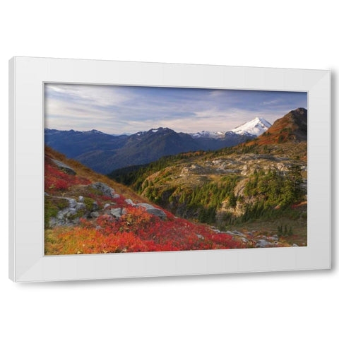 WA, Mount Baker Wilderness View of Mount Shuksan White Modern Wood Framed Art Print by Paulson, Don