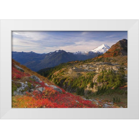 WA, Mount Baker Wilderness View of Mount Shuksan White Modern Wood Framed Art Print by Paulson, Don