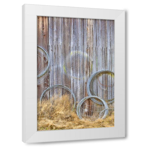 WA, Silverdale Wire coiled on barn wall White Modern Wood Framed Art Print by Paulson, Don