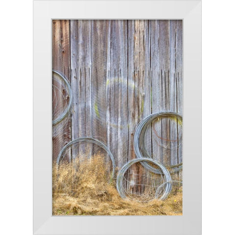 WA, Silverdale Wire coiled on barn wall White Modern Wood Framed Art Print by Paulson, Don