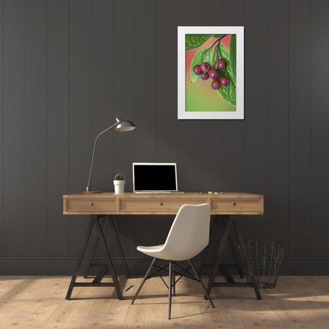 Washington Cotoneaster berries on the vine White Modern Wood Framed Art Print by Paulson, Don