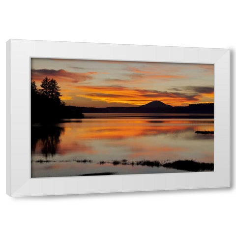 USA, Washington Sunset on Lake Quinault White Modern Wood Framed Art Print by Paulson, Don