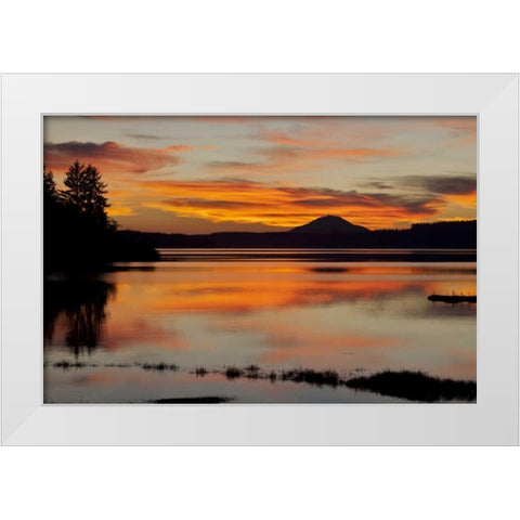 USA, Washington Sunset on Lake Quinault White Modern Wood Framed Art Print by Paulson, Don