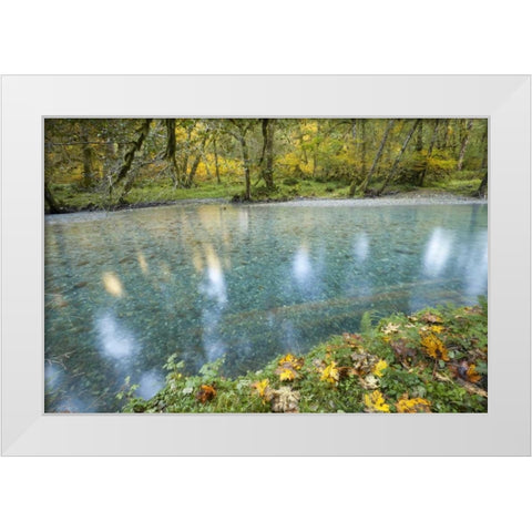 Washington Quinault River in the Olympic NP White Modern Wood Framed Art Print by Paulson, Don