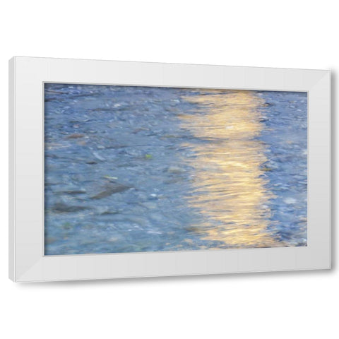 Washington Quinault River in the Olympic NP White Modern Wood Framed Art Print by Paulson, Don