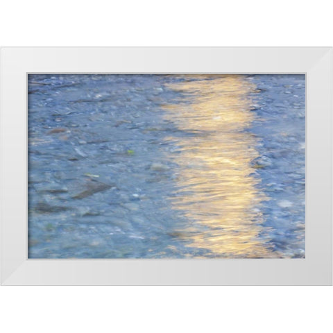 Washington Quinault River in the Olympic NP White Modern Wood Framed Art Print by Paulson, Don