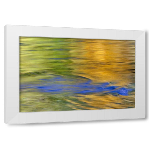 WA, Quinault Autumn reflect in Quinault River White Modern Wood Framed Art Print by Paulson, Don