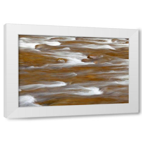 WA, Olympic NP autumn reflects in Solduc River White Modern Wood Framed Art Print by Paulson, Don