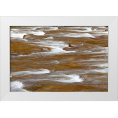 WA, Olympic NP autumn reflects in Solduc River White Modern Wood Framed Art Print by Paulson, Don