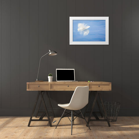 WA, Seabeck White feather reflects on water White Modern Wood Framed Art Print by Paulson, Don