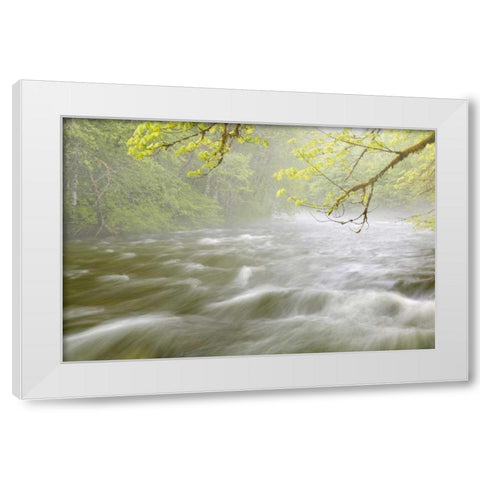 WA, Cascade Mts Cascading water in Beckler River White Modern Wood Framed Art Print by Paulson, Don