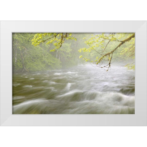 WA, Cascade Mts Cascading water in Beckler River White Modern Wood Framed Art Print by Paulson, Don